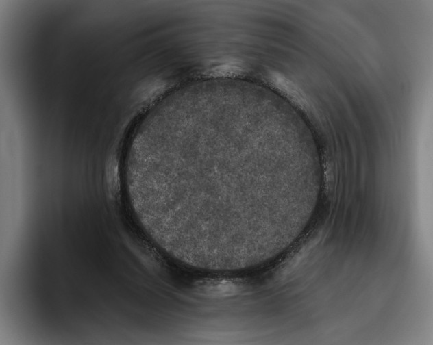 X0000094810254200712071231