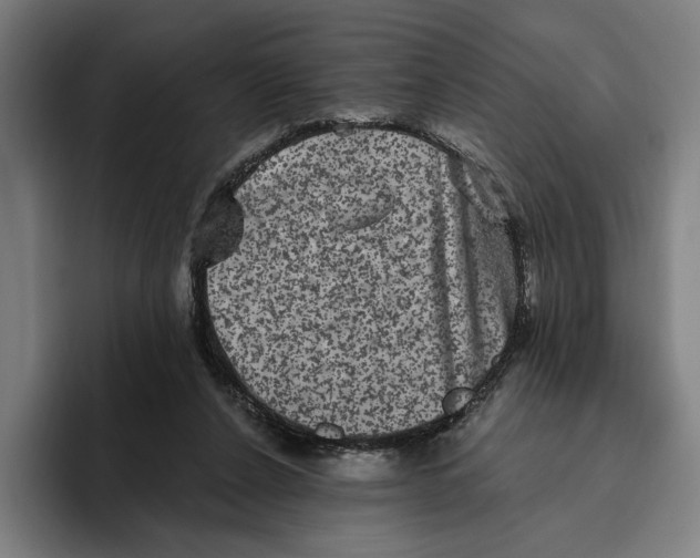 X0000094810256200712071231