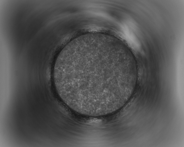 X0000094810257200712071231