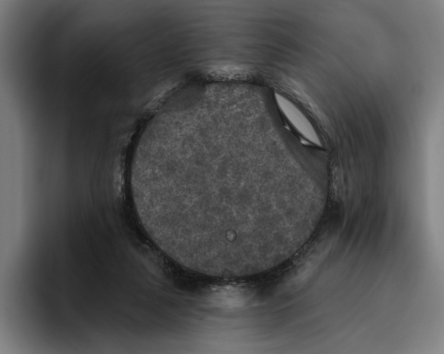 X0000094810259200712071231