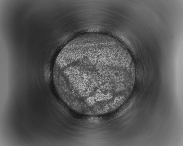 X0000094810261200712071231