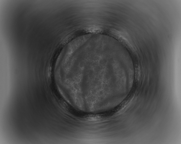 X0000094810263200712071231