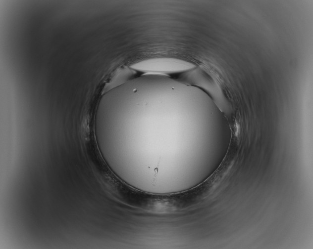 X0000094810264200712071231