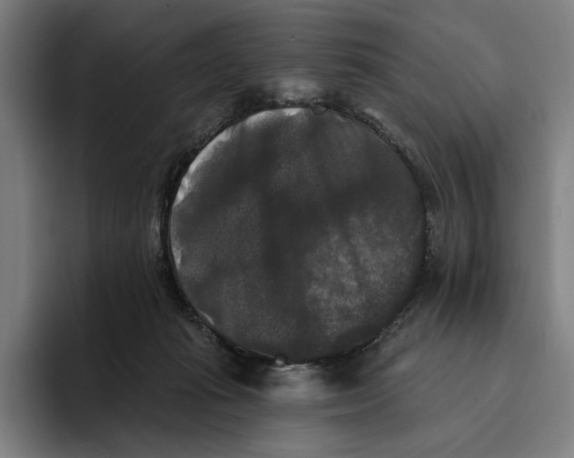 X0000094810269200712071231