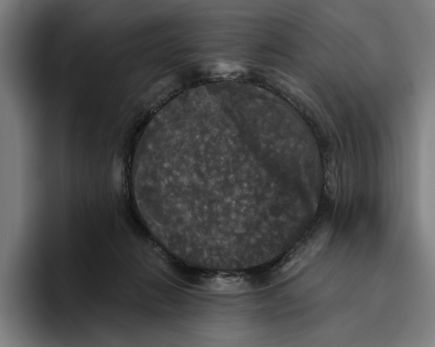 X0000094810270200712071231