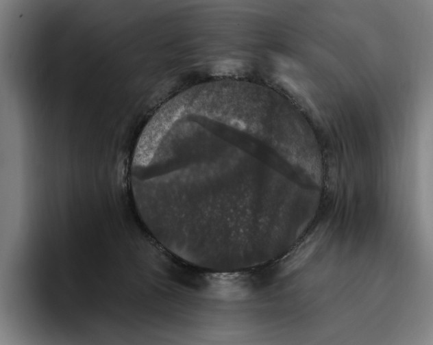 X0000094810273200712071232