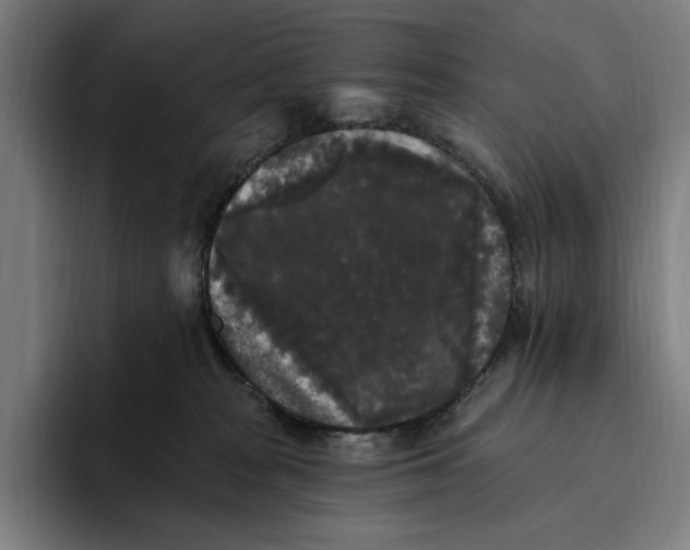 X0000094810277200712071232