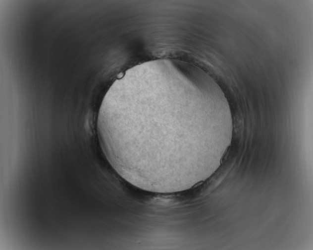 X0000094810280200712071232