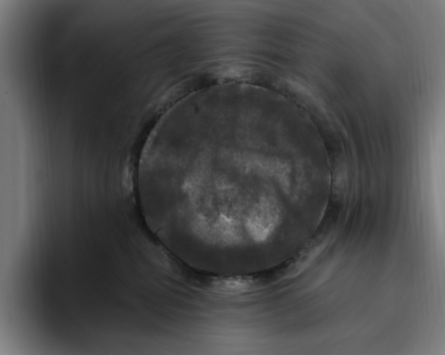 X0000094810282200712071232