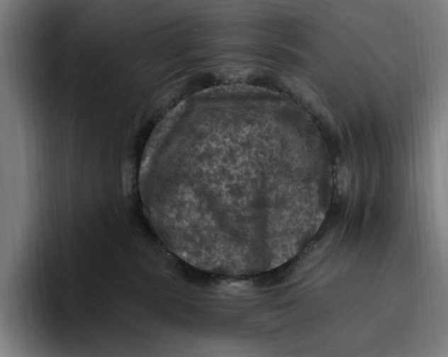 X0000094810283200712071232