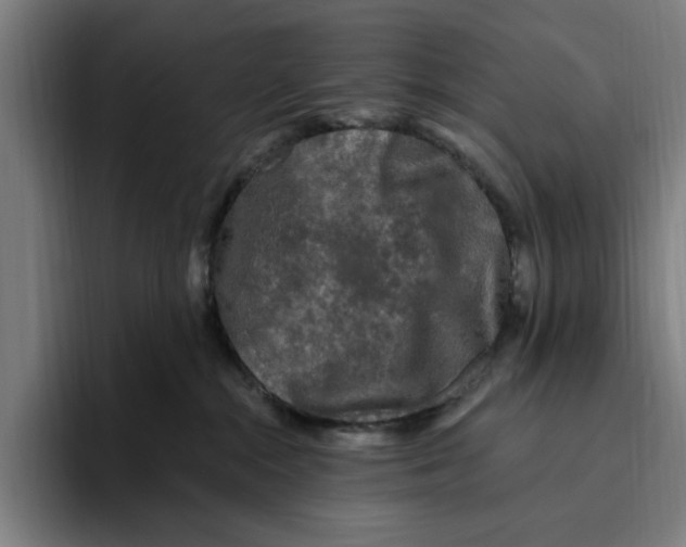 X0000094810284200712071232