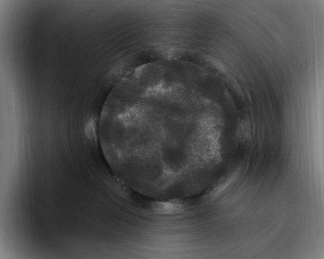 X0000094810286200712071232