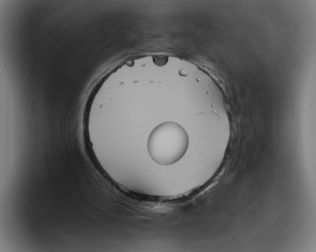 X0000094810293200712071231