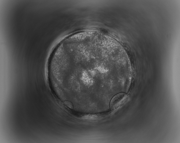 X0000094810294200712071231