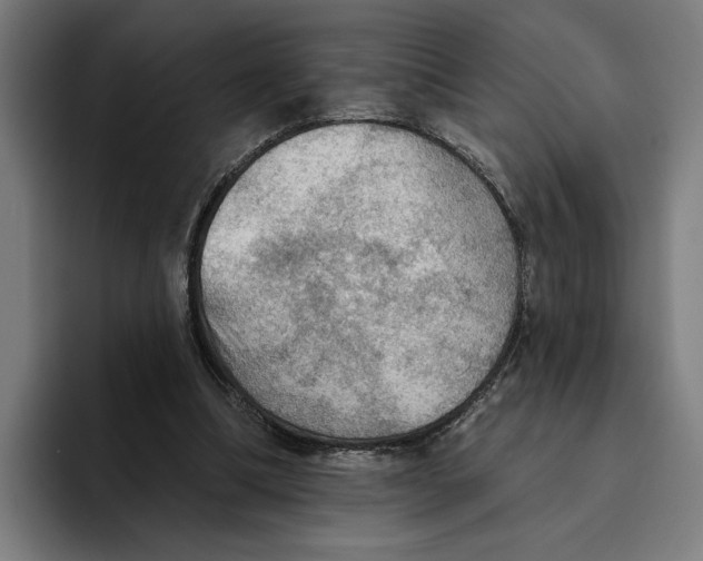 X0000094810298200712071231