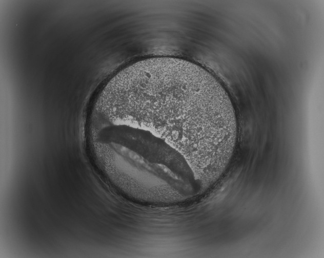 X0000094810299200712071231