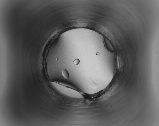 X0000094810300200712071231