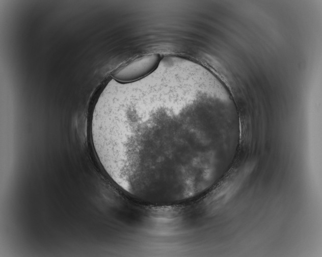 X0000094810301200712071231