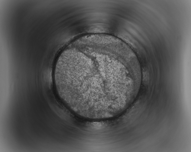 X0000094810302200712071231