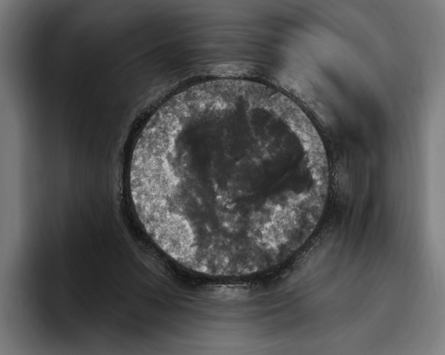 X0000094810303200712071231