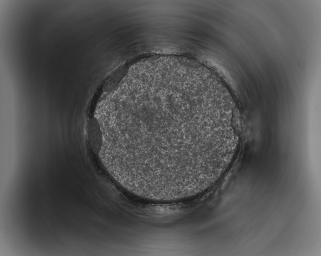 X0000094810305200712071231