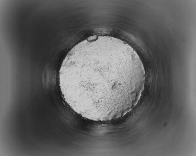 X0000094810315200712071231