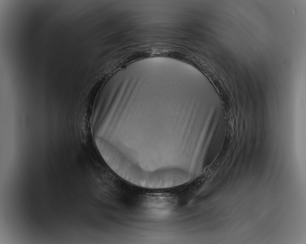 X0000094810316200712071231