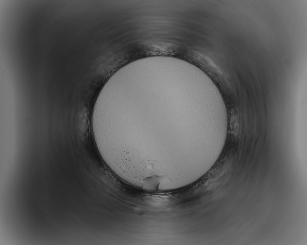 X0000094810318200712071231