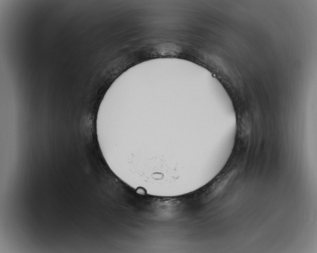 X0000094810321200712071231