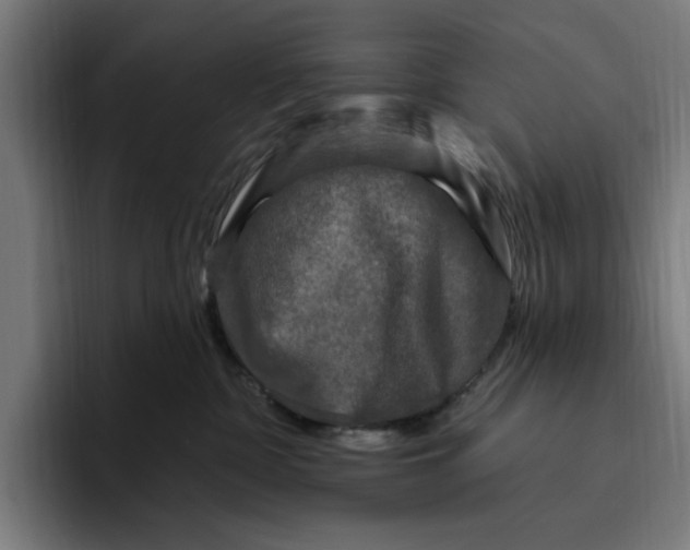 X0000094810332200712071231