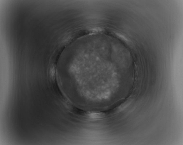 X0000094810336200712071230