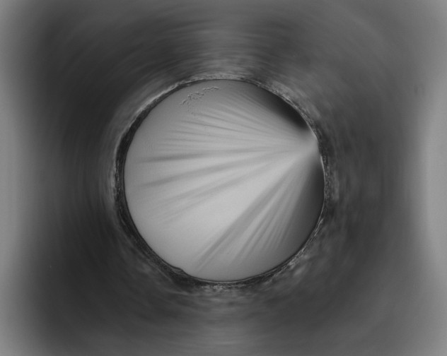 X0000094810338200712071230