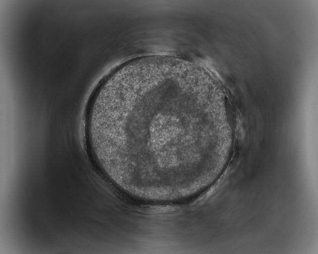 X0000094810342200712071230