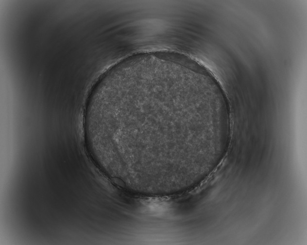 X0000094810345200712071230