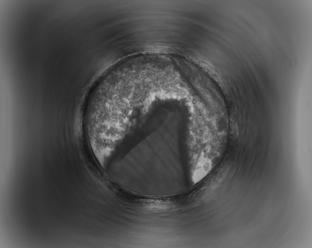 X0000094810347200712071230