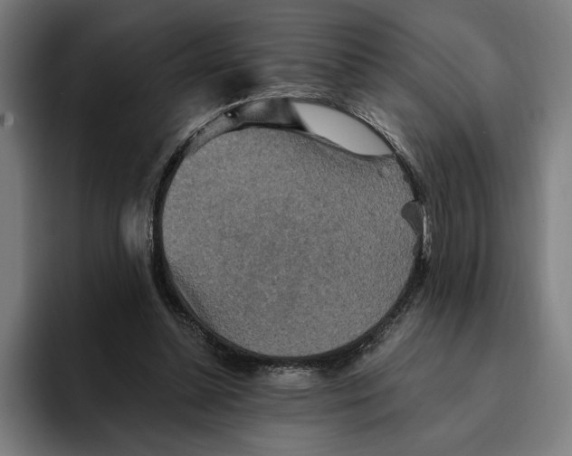 X0000094810348200712071230