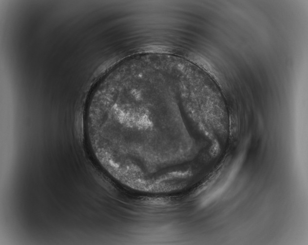 X0000094810349200712071230