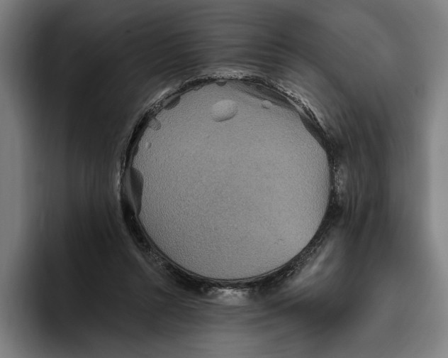 X0000094810352200712071230