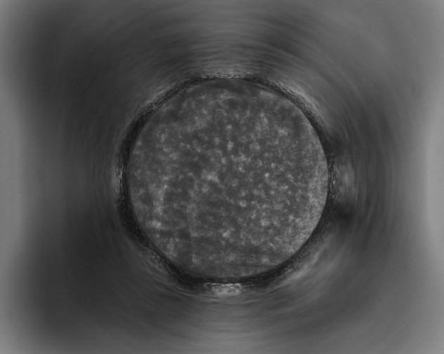 X0000094810355200712071230