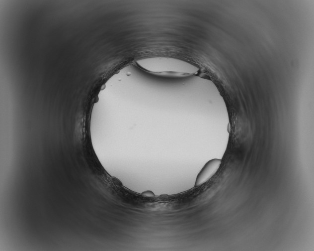 X0000094810356200712071230