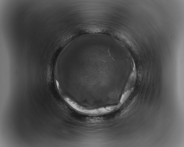 X0000094810359200712071230