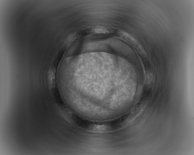 X0000094810360200712071230