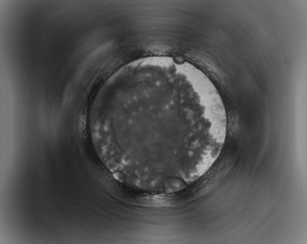 X0000094810365200712071230