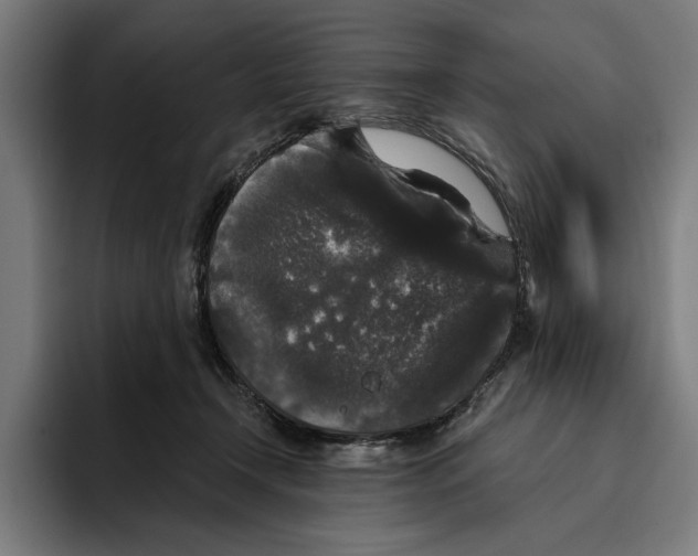 X0000094810366200712071230