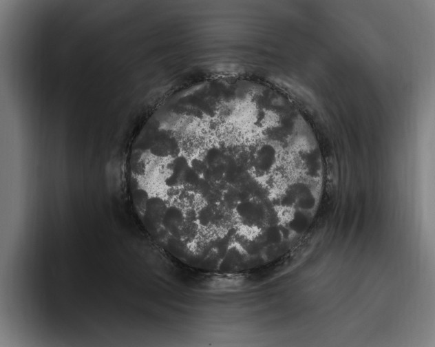 X0000094810369200712071230