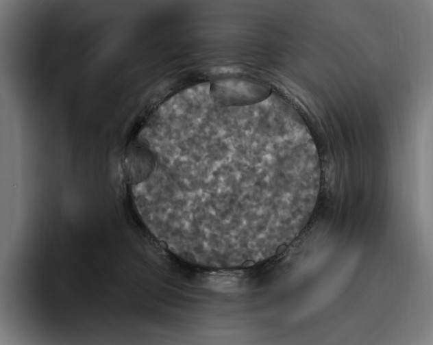 X0000094810373200712071230