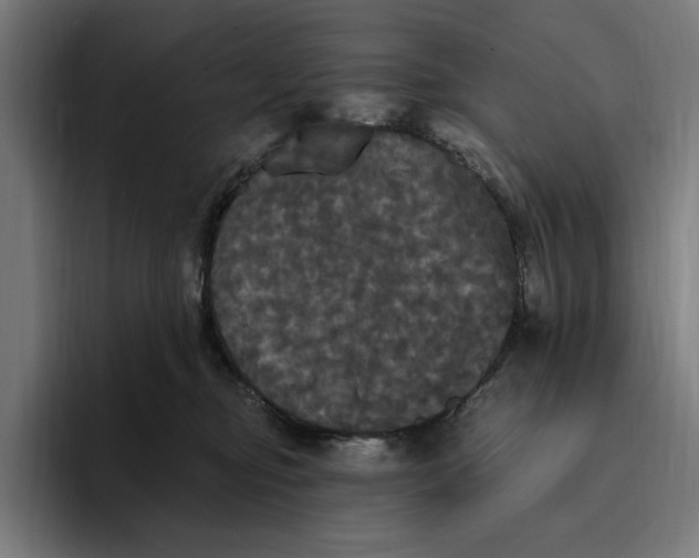 X0000094810374200712071230