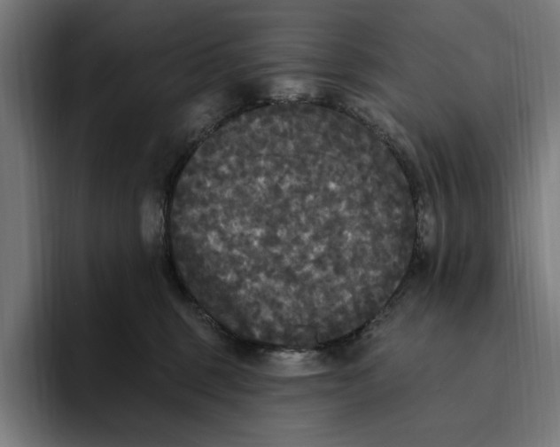 X0000094810375200712071230