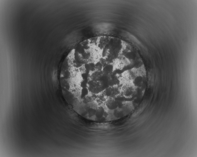 X0000094810377200712071230