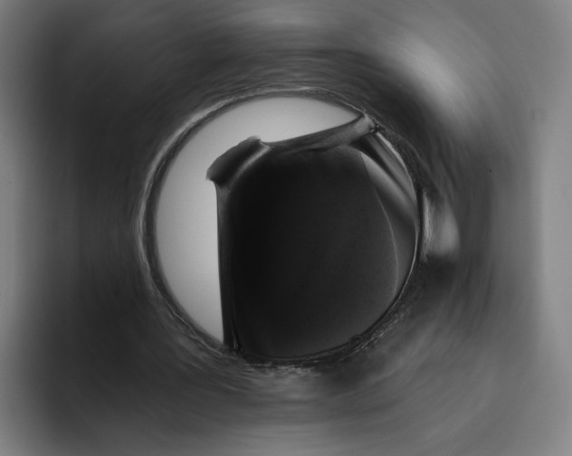 X0000094810387200712071230